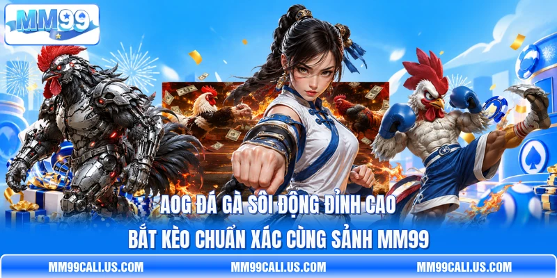 AOG Đá Gà Sôi Động Đỉnh Cao Bắt Kèo Chuẩn Xác Cùng Sảnh MM99