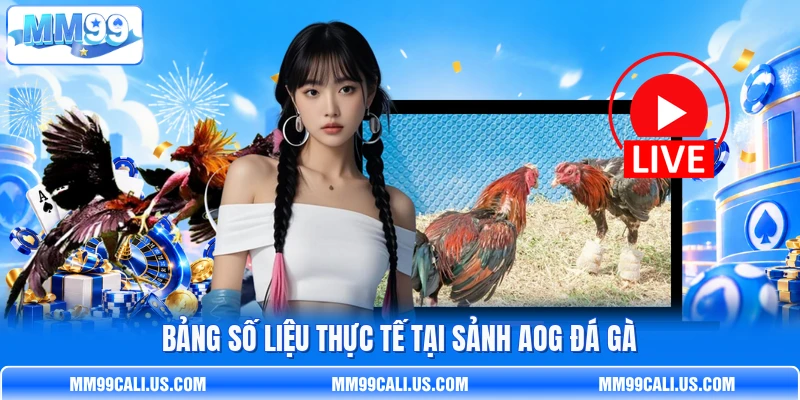 Bảng số liệu thực tế tại sảnh AOG đá gà Bảng số liệu thực tế tại sảnh AOG đá gà