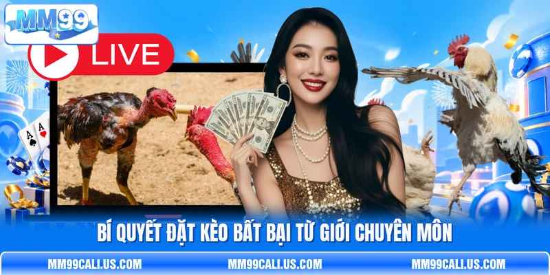 Bí quyết đặt kèo bất bại từ giới chuyên môn Bí quyết đặt kèo bất bại từ giới chuyên môn