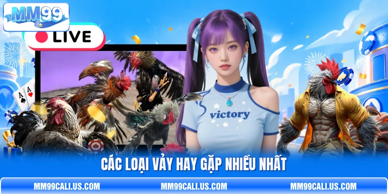 Các loại vảy hay gặp nhiều nhất