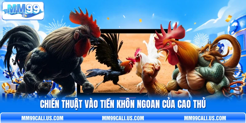 Chiến thuật vào tiền khôn ngoan của cao thủ Chiến thuật vào tiền khôn ngoan của cao thủ
