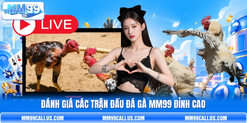 Đánh giá các trận đấu đá gà MM99 đỉnh cao Đánh giá các trận đấu đá gà MM99 đỉnh cao