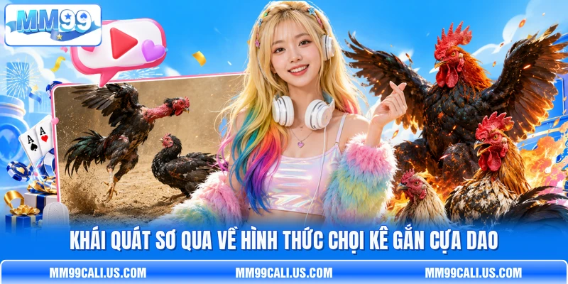 Khái quát sơ qua về hình thức chọi kê gắn cựa dao Khái quát sơ qua về hình thức chọi kê gắn cựa dao