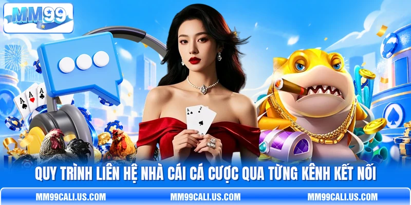 Quy trình liên hệ nhà cái cá cược qua từng kênh kết nối