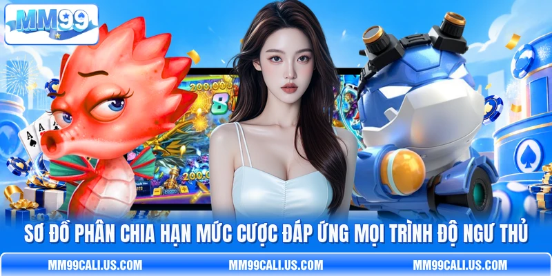 Sơ đồ phân chia hạn mức cược đáp ứng mọi trình độ ngư thủ Sơ đồ phân chia hạn mức cược đáp ứng mọi trình độ ngư thủ