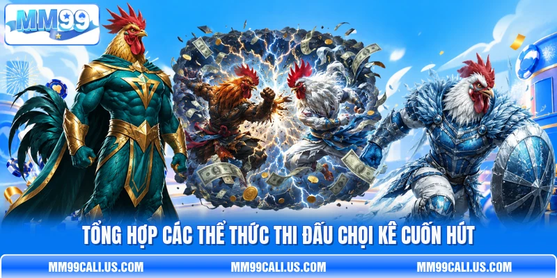 Tổng hợp các thể thức thi đấu chọi kê cuốn hút Tổng hợp các thể thức thi đấu chọi kê cuốn hút