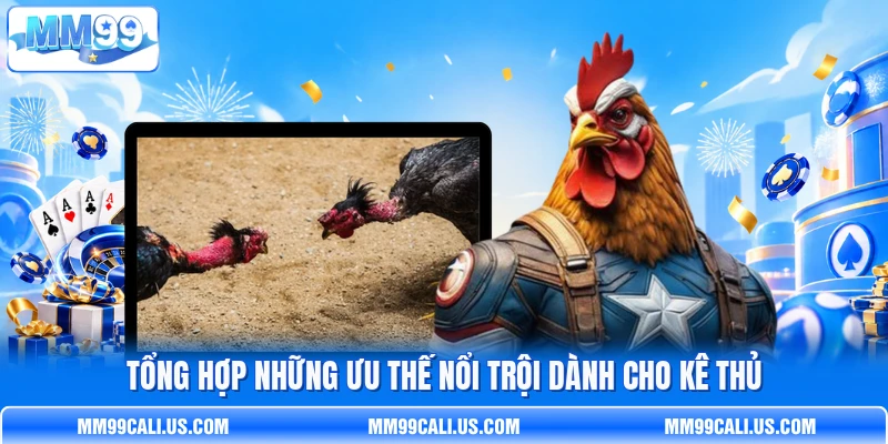 Tổng hợp những ưu thế nổi trội dành cho kê thủ Tổng hợp những ưu thế nổi trội dành cho kê thủ