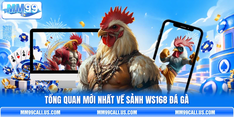 Tổng quan mới nhất về sảnh WS168 đá gà