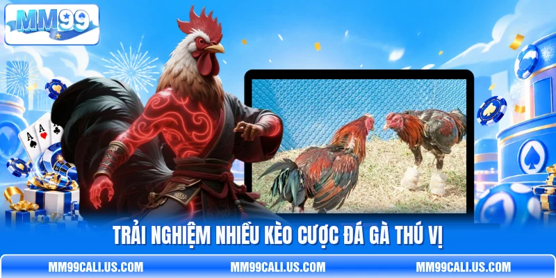 Trải nghiệm nhiều kèo cược đá gà thú vị