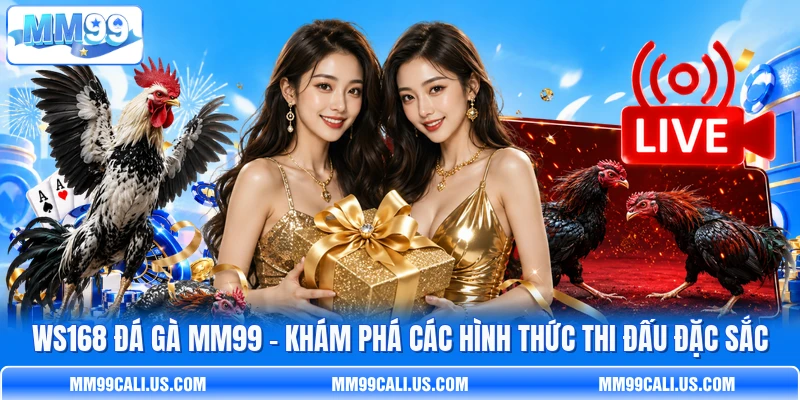 WS168 Đá Gà MM99 - Khám Phá Các Hình Thức Thi Đấu Đặc Sắc