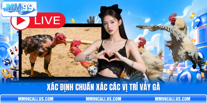 Xác định chuẩn xác các vị trí vảy gà